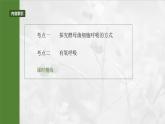 第三单元　第十三课时　细胞呼吸的方式和有氧呼吸-2025年高考生物大一轮复习课件