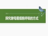 第三单元　第十三课时　细胞呼吸的方式和有氧呼吸-2025年高考生物大一轮复习课件