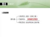 第三单元　第十三课时　细胞呼吸的方式和有氧呼吸-2025年高考生物大一轮复习课件
