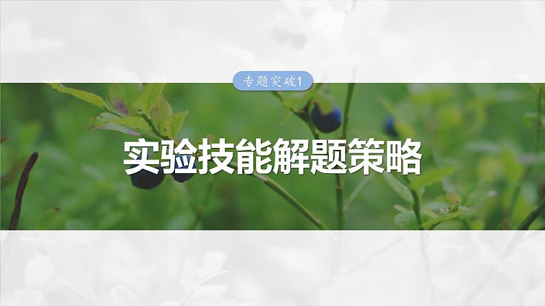 第三单元　专题突破1　实验技能解题策略-2025年高考生物大一轮复习课件01