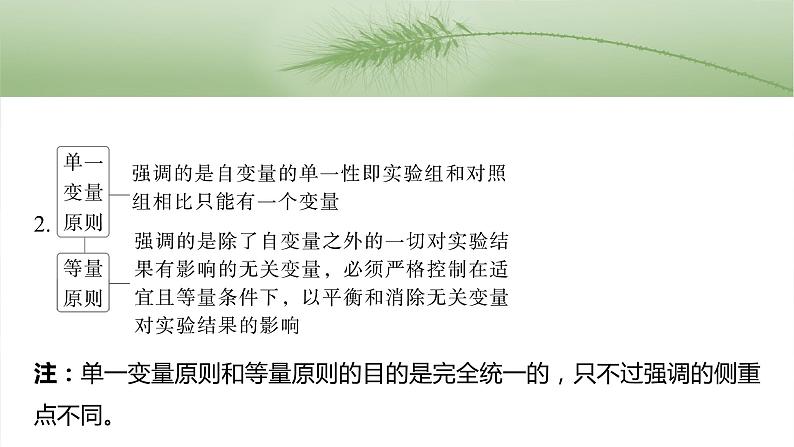 第三单元　专题突破1　实验技能解题策略-2025年高考生物大一轮复习课件03