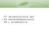 第三单元　专题突破1　实验技能解题策略-2025年高考生物大一轮复习课件