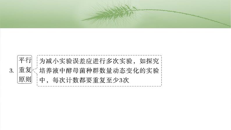 第三单元　专题突破1　实验技能解题策略-2025年高考生物大一轮复习课件04