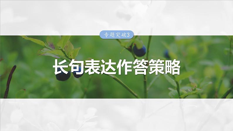 第三单元　专题突破3　长句表达作答策略-2025年高考生物大一轮复习课件01