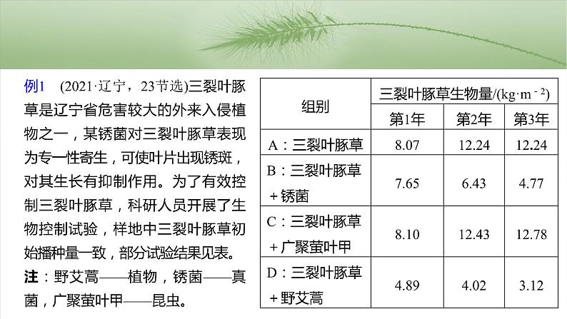 第三单元　专题突破3　长句表达作答策略-2025年高考生物大一轮复习课件04