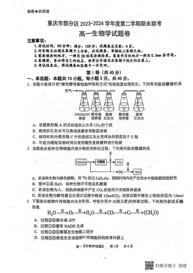 重庆市永川区2023-2024学年高一下学期期末教学质量检测生物试题01