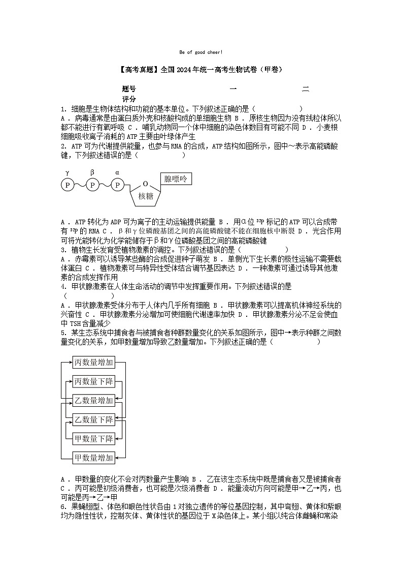 [生物][高考真题]全国2024年统一高考生物试卷(甲卷)01