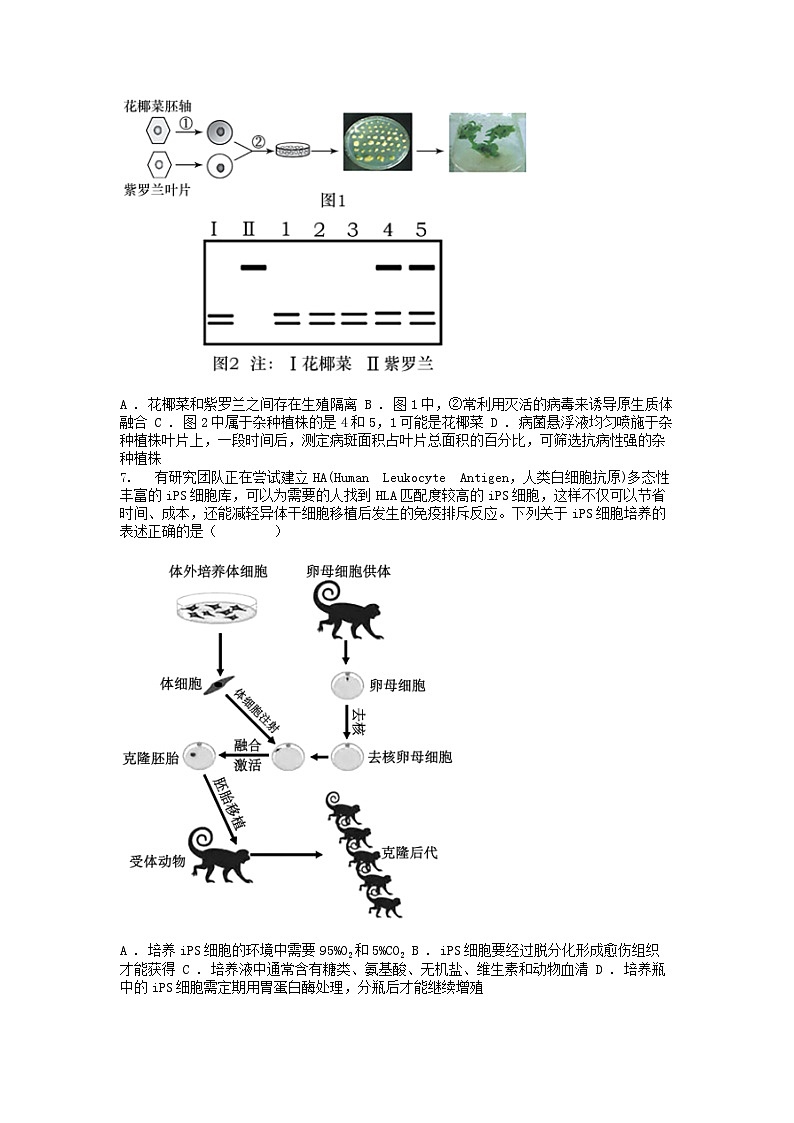 [生物][期中]广东省茂名市信宜市2023-2024学年高二下学期期中生物试卷02