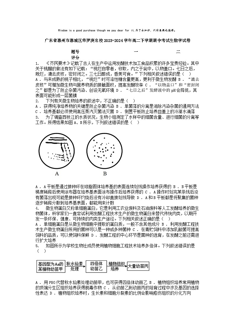 [生物][期中]广东省惠州市惠城区华罗庚名校2023-2024学年高二下学期期中考试生物学试卷第1页
