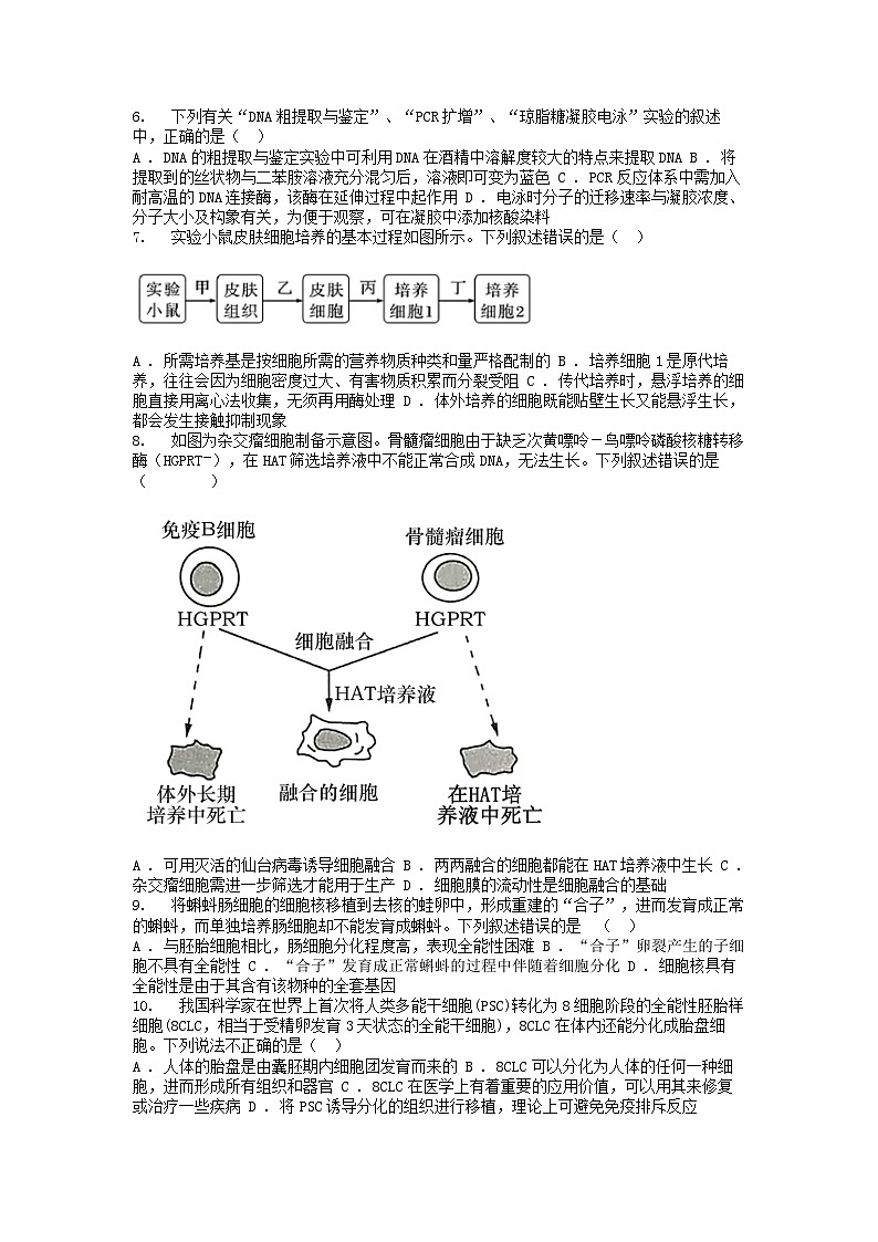 [生物][期中]广东省惠州市惠城区华罗庚名校2023-2024学年高二下学期期中考试生物学试卷第2页