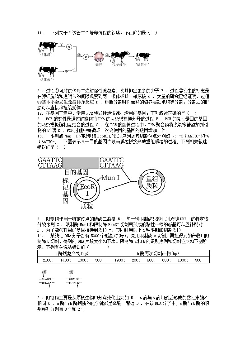 [生物][期中]广东省惠州市惠城区华罗庚名校2023-2024学年高二下学期期中考试生物学试卷第3页