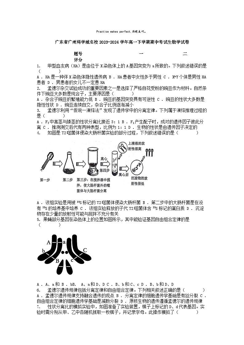 [生物][期中]广东省广州科学城名校2023-2024学年高一下学期期中考试生物学试卷第1页