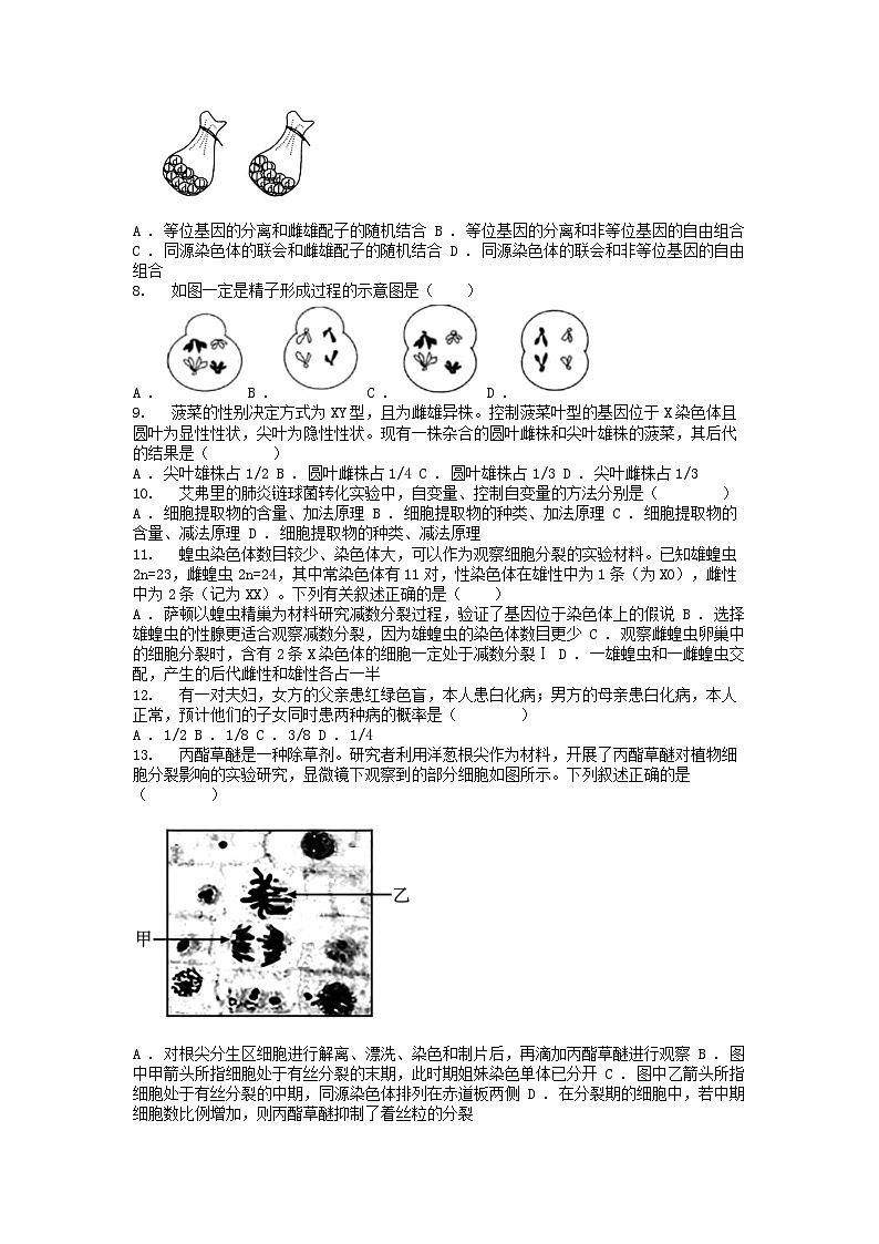 [生物][期中]广东省广州科学城名校2023-2024学年高一下学期期中考试生物学试卷第2页