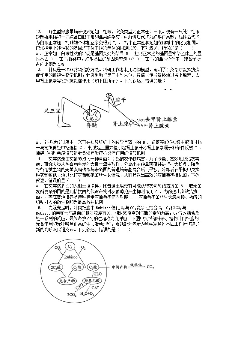 [生物]广东省广州市普通高中毕业班2024届高三下学期生物综合测试(二)第3页