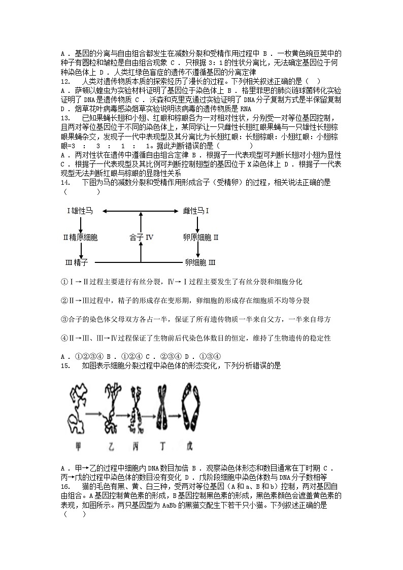 [生物]广东省四会名校、广信名校2023-2024学年高一下学期第二次月考生物试题03