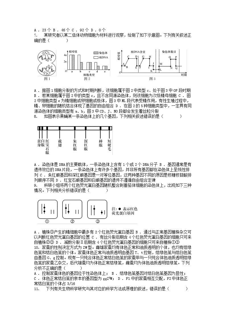 [生物][期中]广东省云浮市罗定市2023-2024学年高一下学期期中考试生物试卷第2页