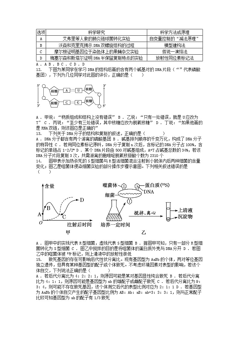 [生物][期中]广东省云浮市罗定市2023-2024学年高一下学期期中考试生物试卷第3页