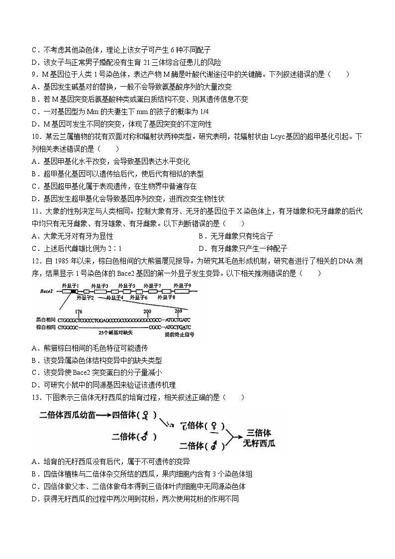北京市朝阳区2023-2024学年高一下学期期末生物试卷03