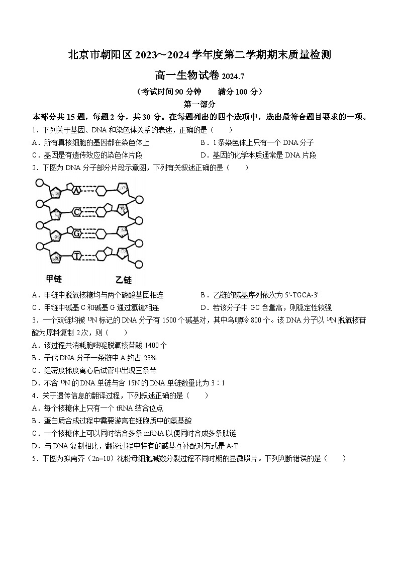 北京市朝阳区2023-2024学年高一下学期期末生物试卷(无答案)01