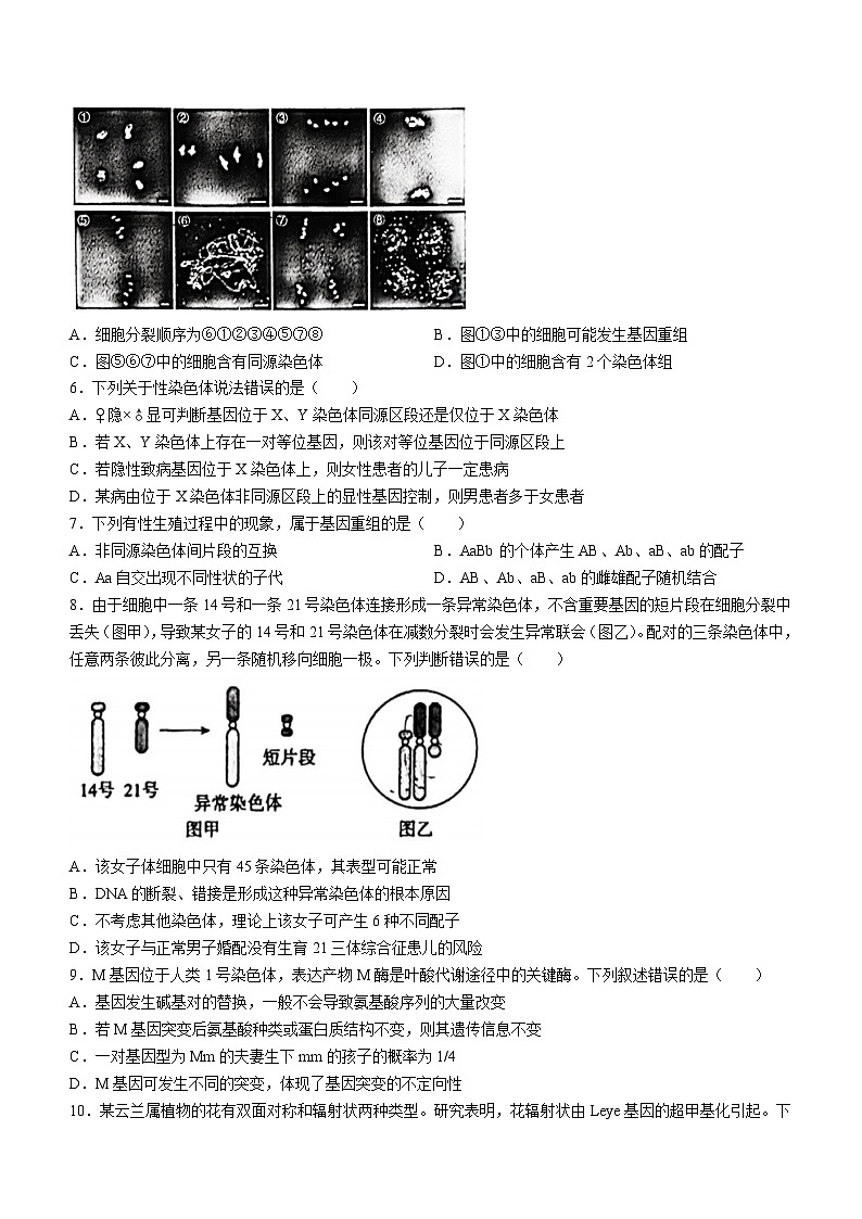 北京市朝阳区2023-2024学年高一下学期期末生物试卷(无答案)02