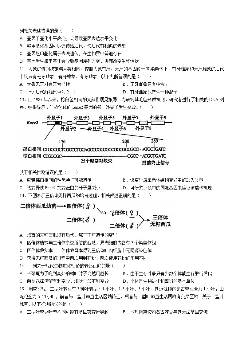 北京市朝阳区2023-2024学年高一下学期期末生物试卷(无答案)03
