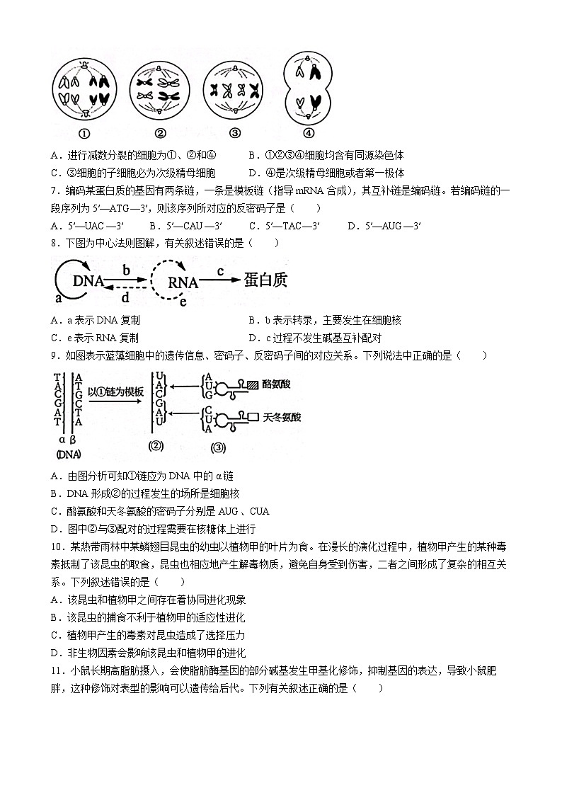 广西壮族自治区来宾市等2地2023-2024学年高一下学期7月期末考试生物试题第2页
