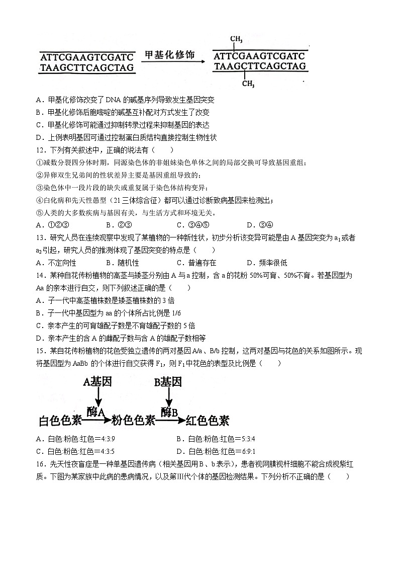 广西壮族自治区来宾市等2地2023-2024学年高一下学期7月期末考试生物试题第3页