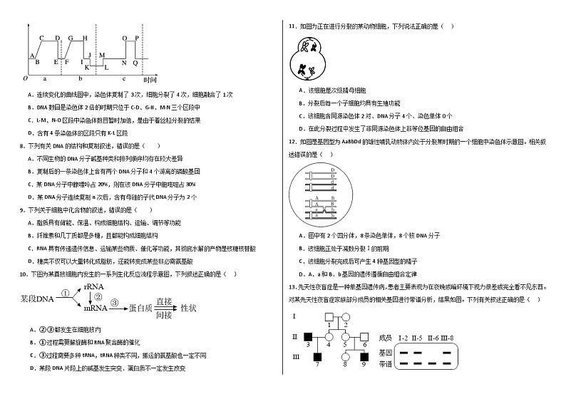 河北省衡水市饶阳县2023-2024学年高一下学期7月期末质量检测生物试题02