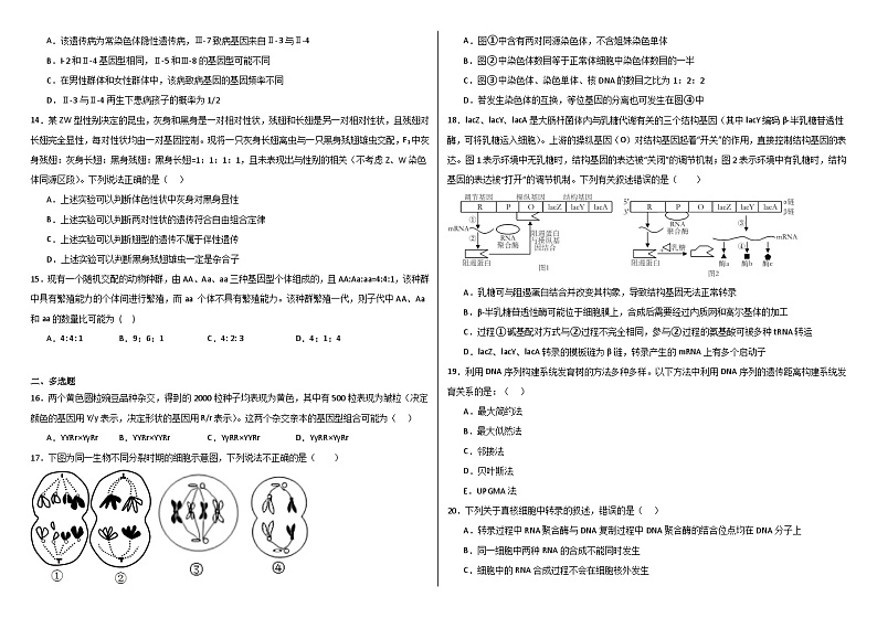 河北省衡水市饶阳县2023-2024学年高一下学期7月期末质量检测生物试题03