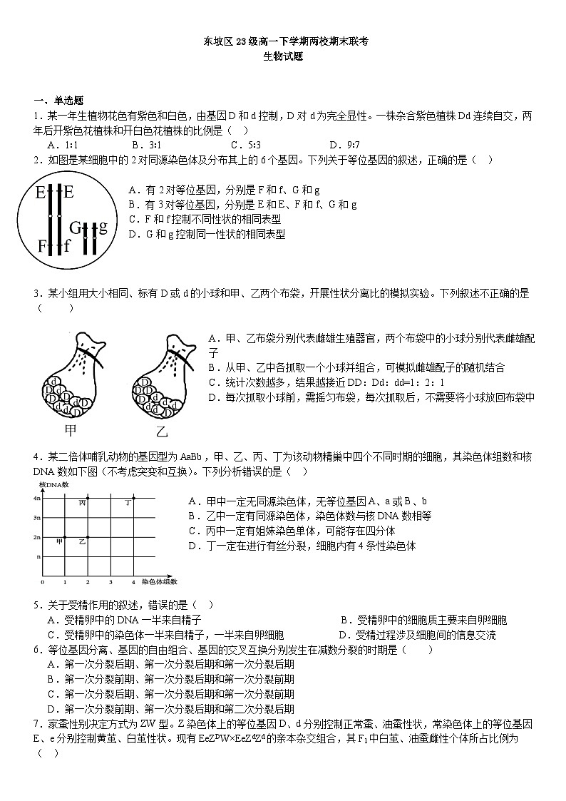 生物-四川省眉山市东坡区两校2023-2024学年高一下学期6月期末试卷【含答案】第1页