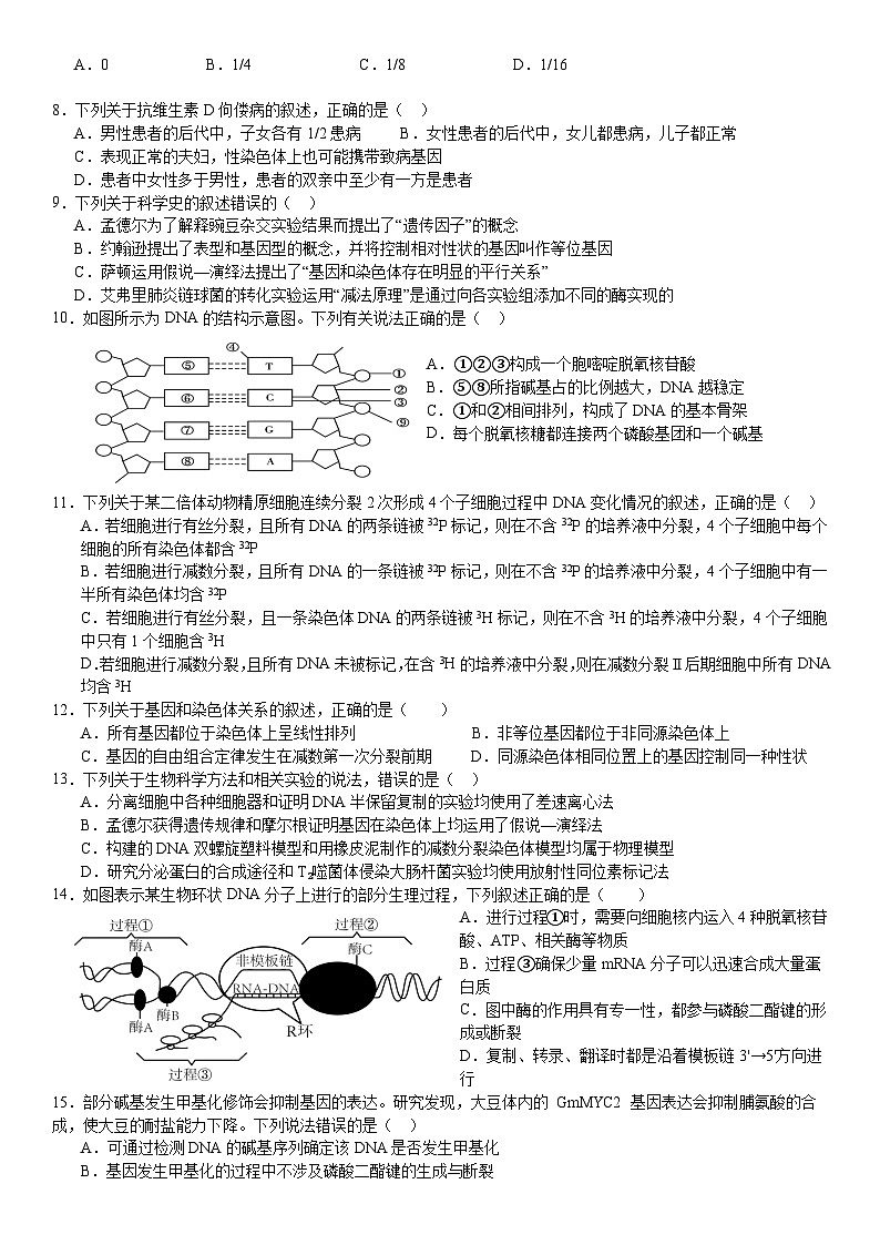 生物-四川省眉山市东坡区两校2023-2024学年高一下学期6月期末试卷【含答案】第2页