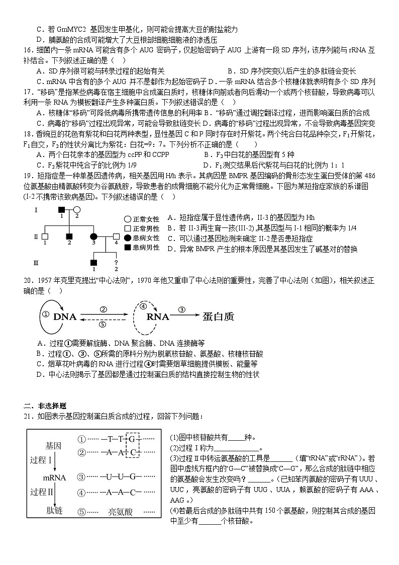 生物-四川省眉山市东坡区两校2023-2024学年高一下学期6月期末试卷【含答案】第3页