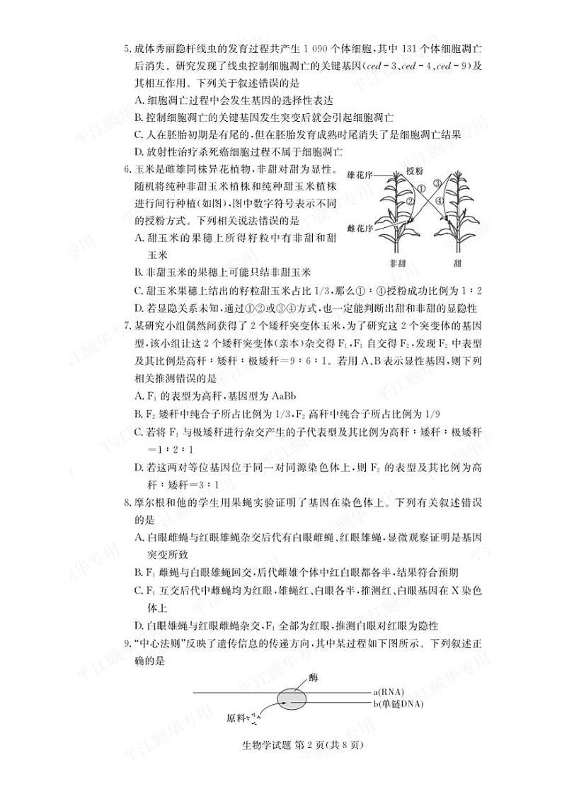 生物-炎德英才湖南省名校联考联合体2023-2024学年高一下学期期末考试卷【含答案】02
