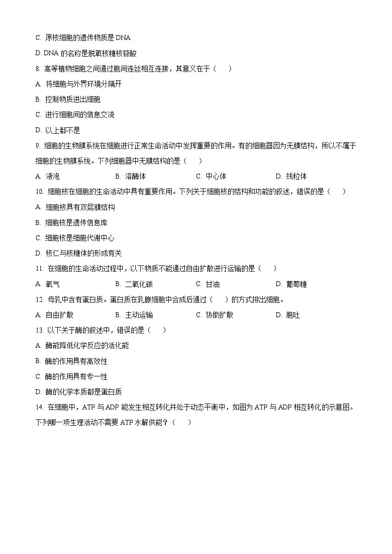 2024年湖北省普通高中学业水平合格性考试模拟（五）生物试题 Word版无答案第2页