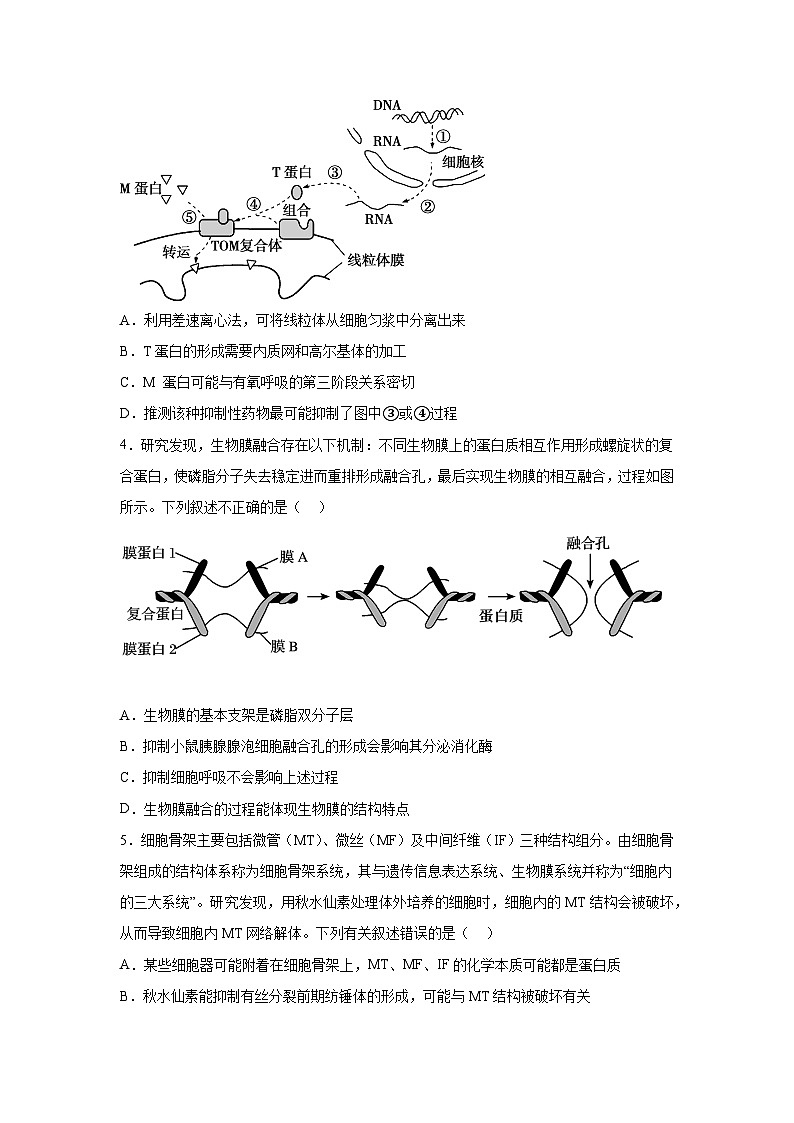 河南省许昌市2023-2024学年高二下学期7月期末生物试题（解析版）02
