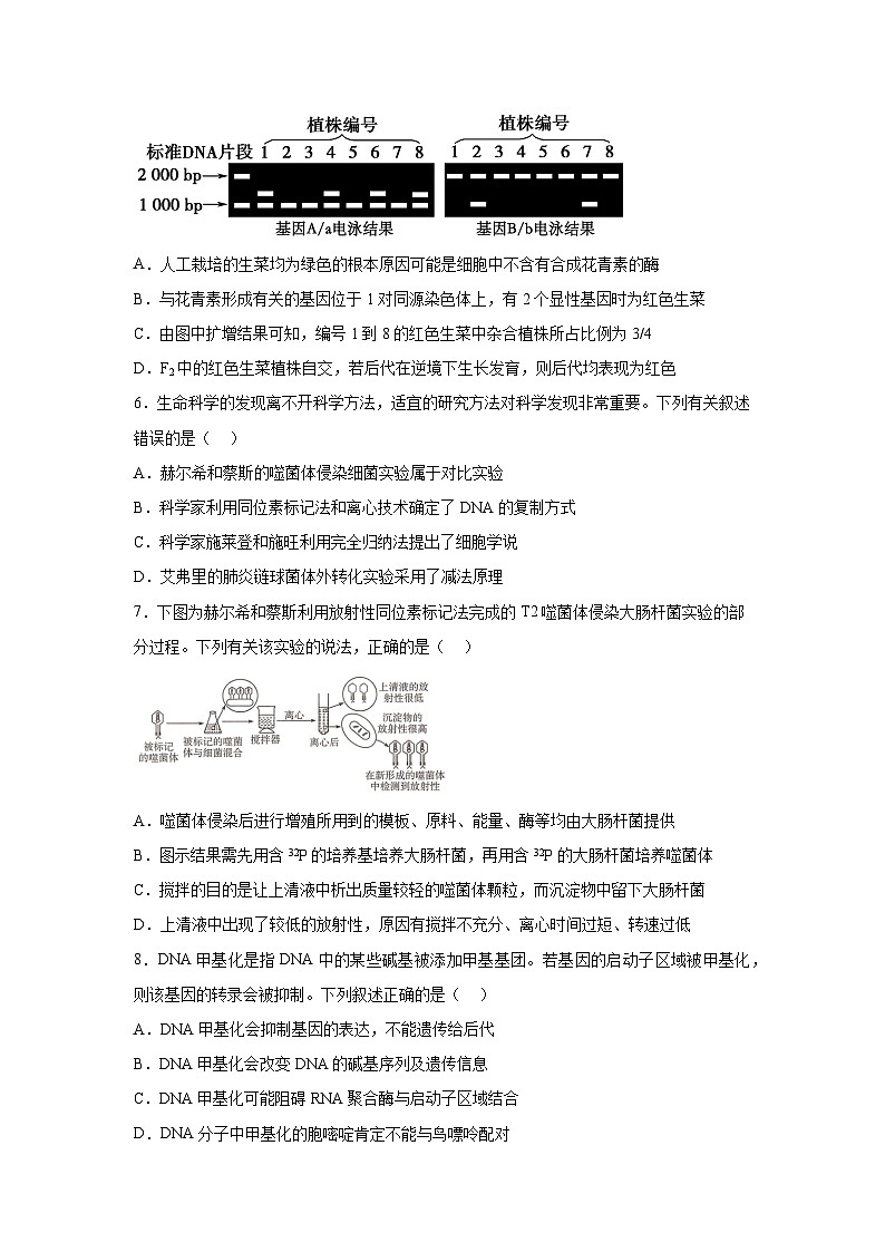 湖南省湖南省部分学校2023-2024学年高一下学期7月期末生物试题（解析版）第3页