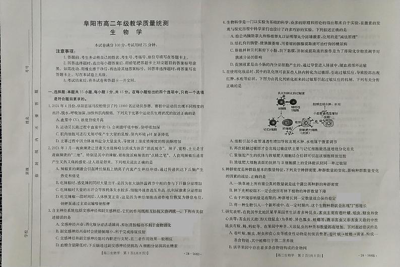 安徽省阜阳市2023—2024学年高二下学期期末质量检测生物试题01