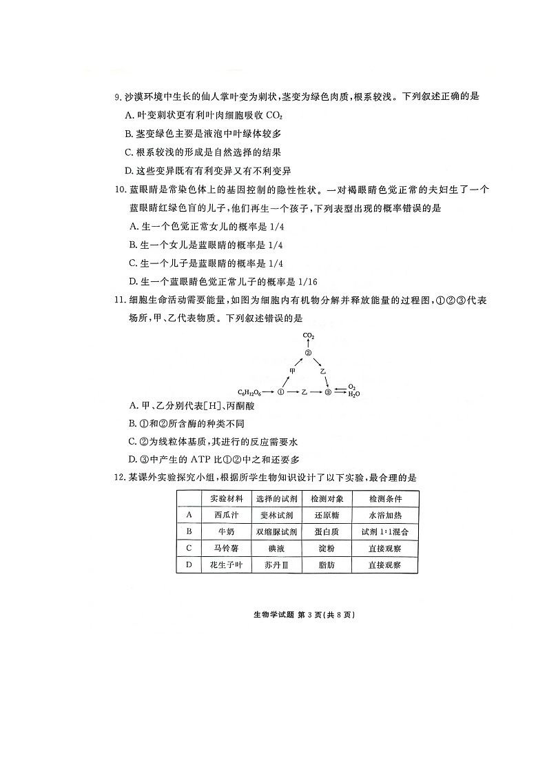 广东省茂名市2023-2024学年高一下学期7月期末考试生物试卷第3页