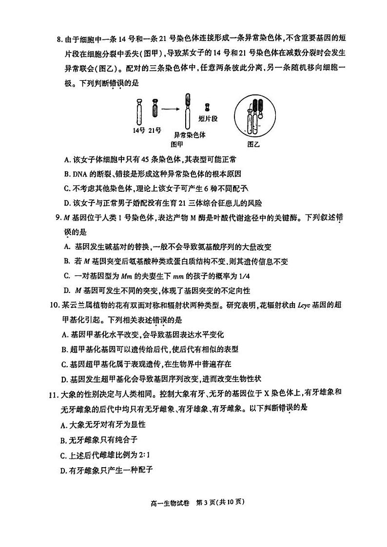 北京市朝阳区2023-2024学年高一下学期期末生物试卷03