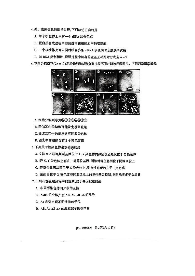 [生物][期末]2024北京朝阳高一下学期期末生物试卷及答案02