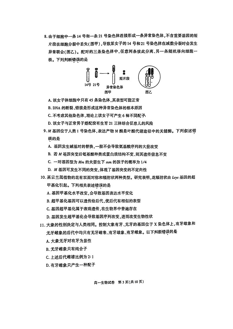 [生物][期末]2024北京朝阳高一下学期期末生物试卷及答案03