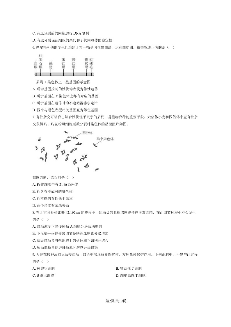 [生物]2024北京高考真题生物试卷及答案02