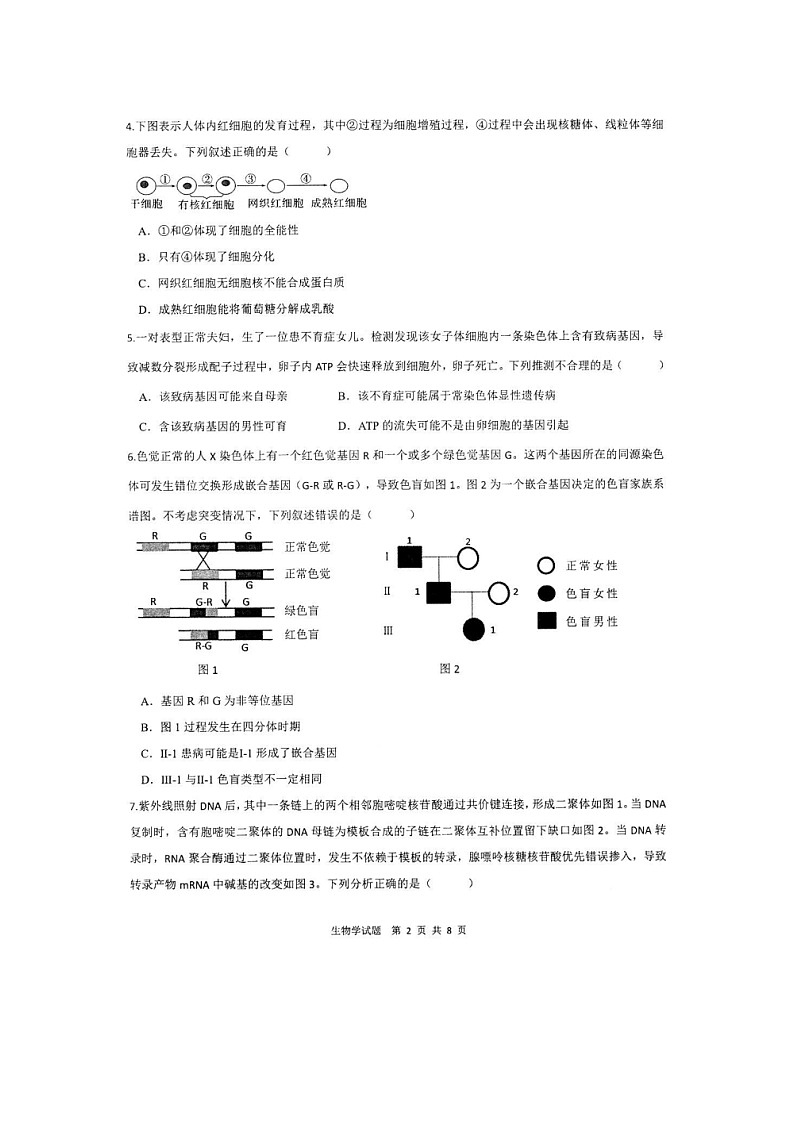 安徽省马鞍山市第二中学2023-2024学年高三下学期5月考试生物试题02