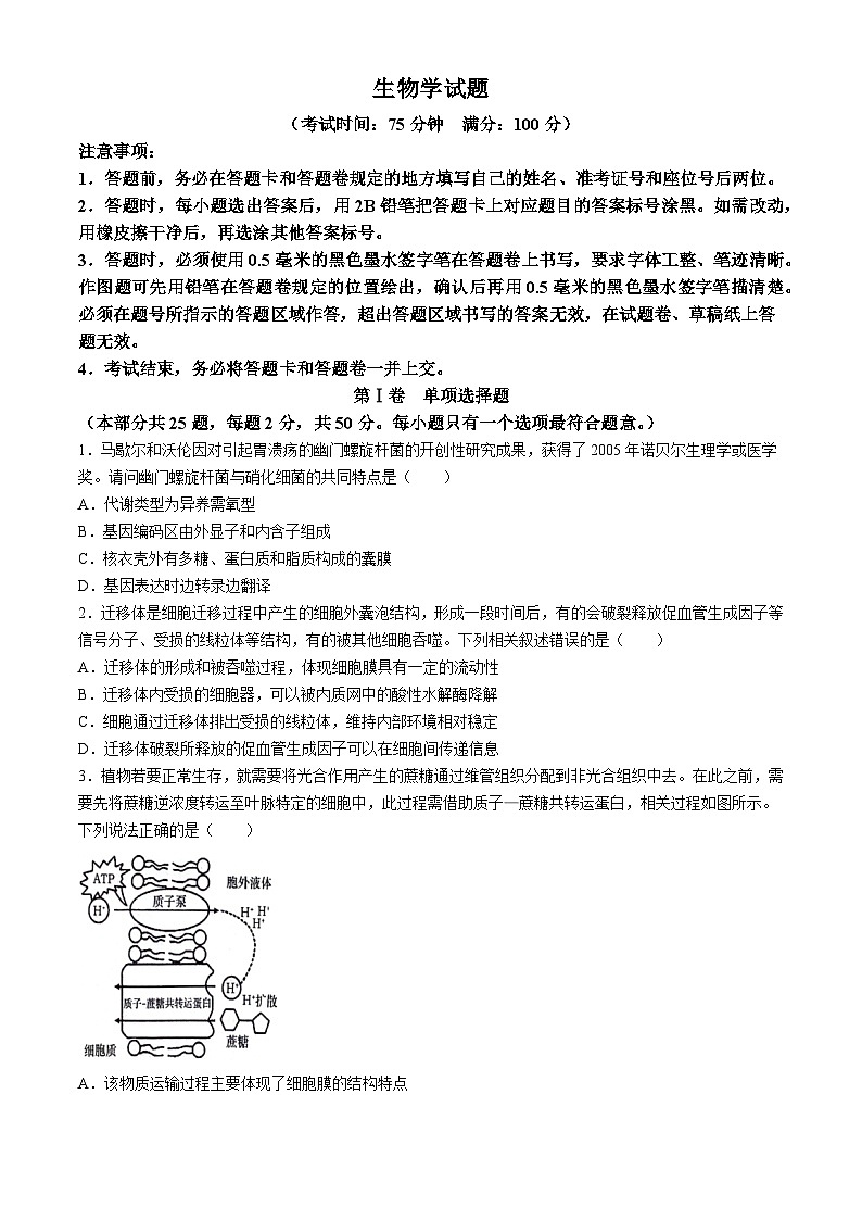 安徽省省十联考2023-2024学年高二下学期7月期末生物试题01