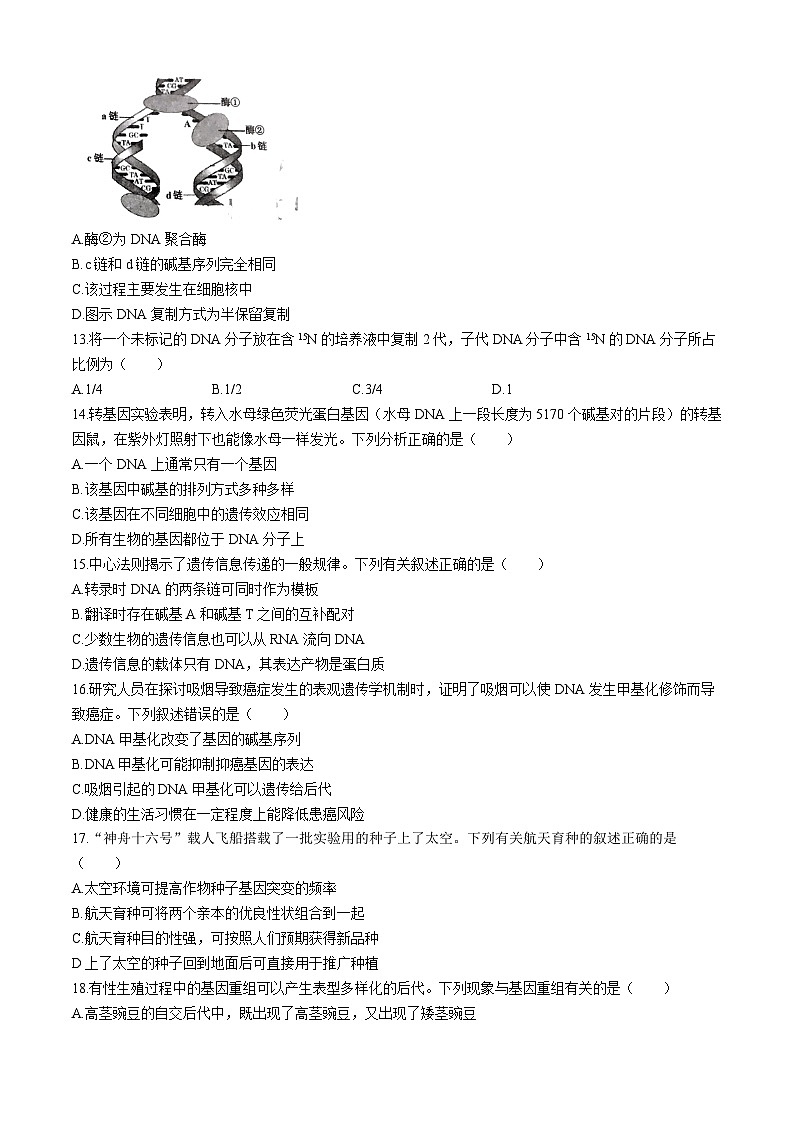 四川省南充市2023-2024学年高一下学期7月学业质量监测生物试题第3页