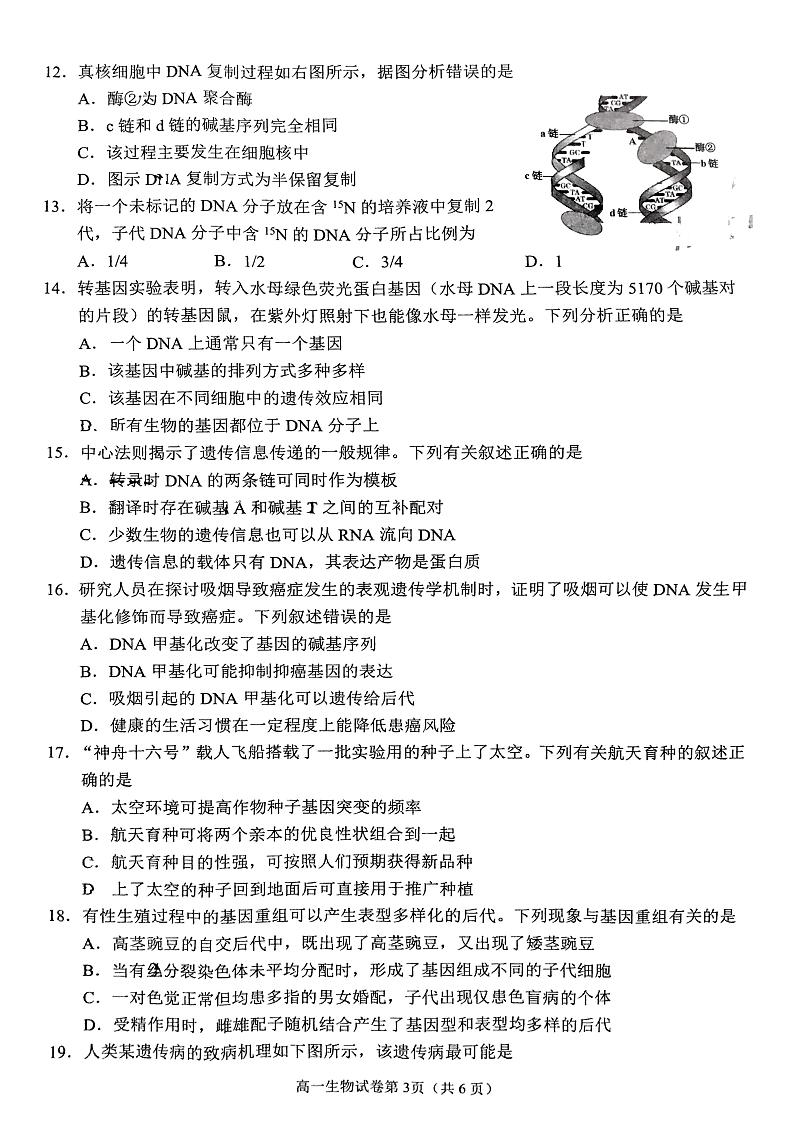 四川省南充市2023-2024学年高一下学期7月学业质量监测生物试题03