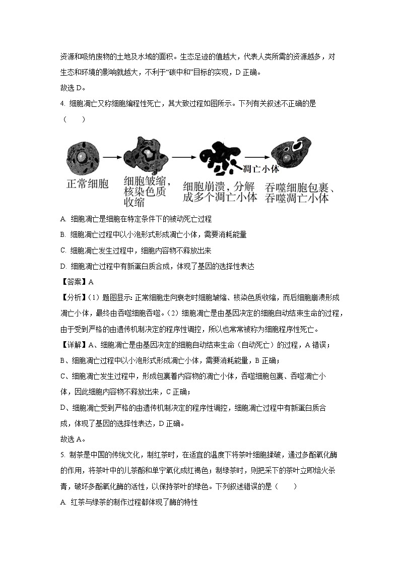[生物][期末]湖北省武汉市江岸区2023-2024学年高二下学期7月期末试题(解析版)第3页
