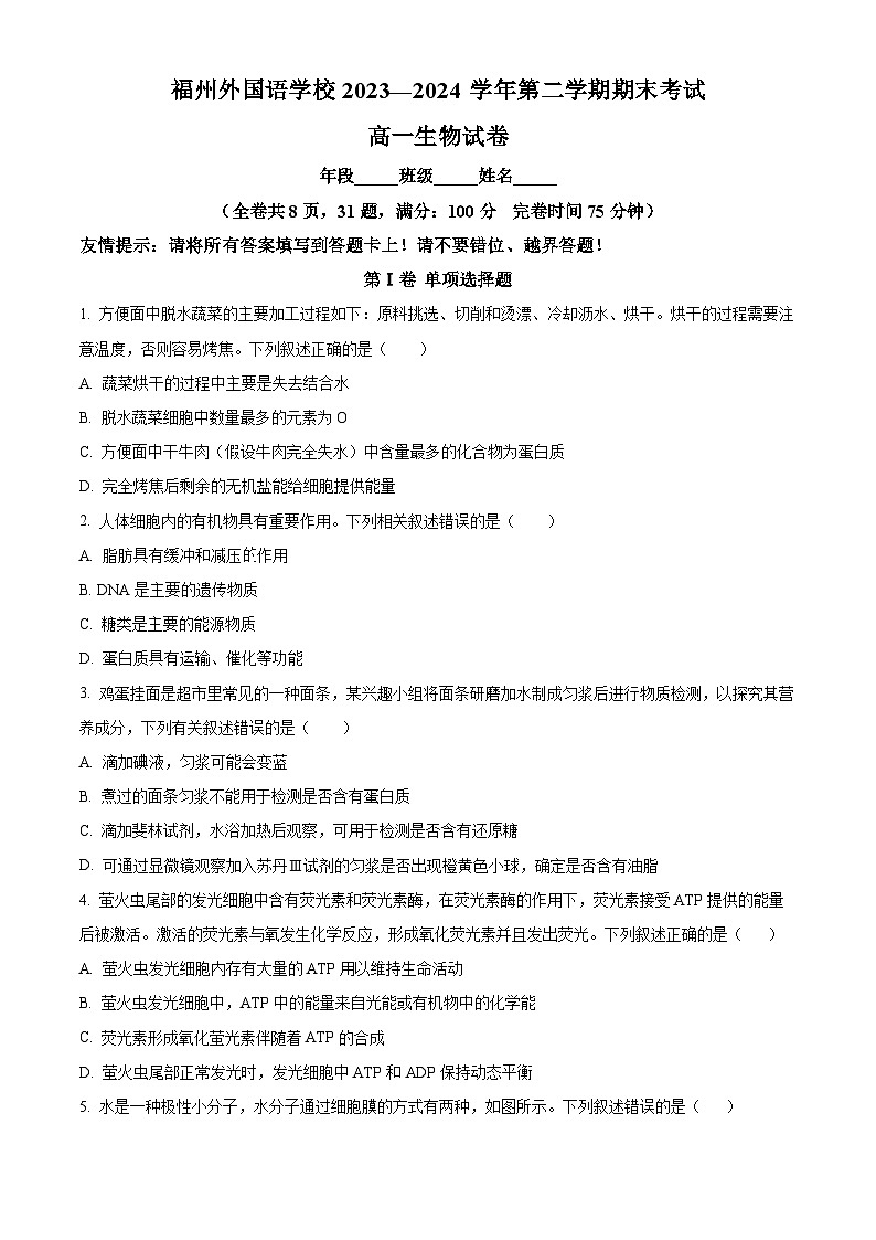 福建省福州外国语学校2023-2024学年高一下学期期末生物试题（原卷版+解析版）01