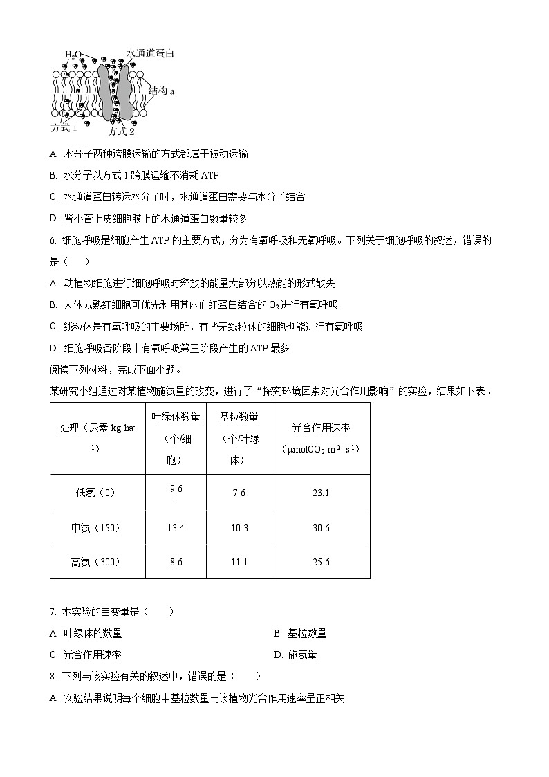 福建省福州外国语学校2023-2024学年高一下学期期末生物试题（原卷版+解析版）02