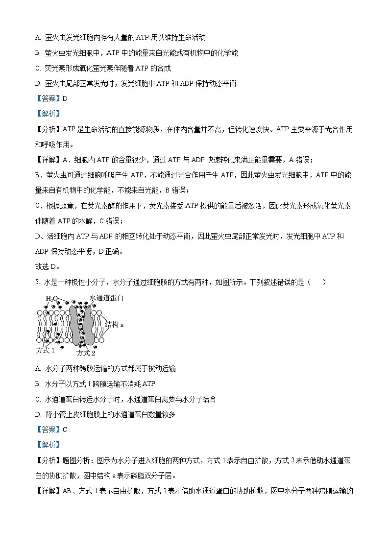福建省福州外国语学校2023-2024学年高一下学期期末生物试题（原卷版+解析版）03